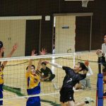 【スポーツ】男子バレー、明星・工学院に連勝